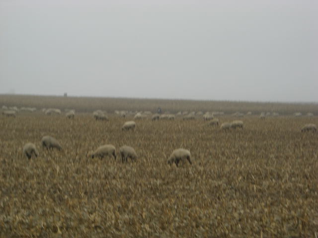 CTF-Kesselsee 065